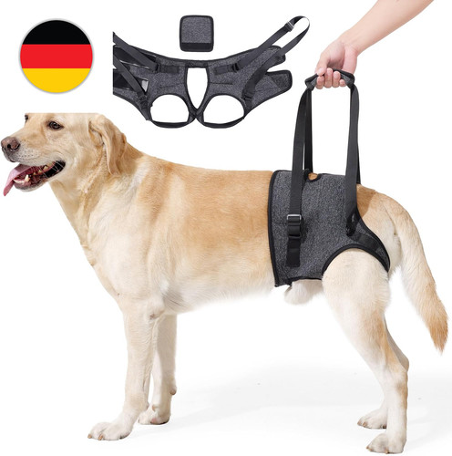 Verstellbares hundegeschirr - verstellbares,