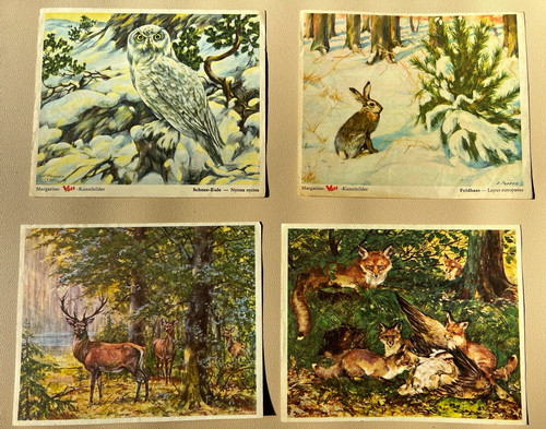 Voss kunstbilder das tierreich - voss,