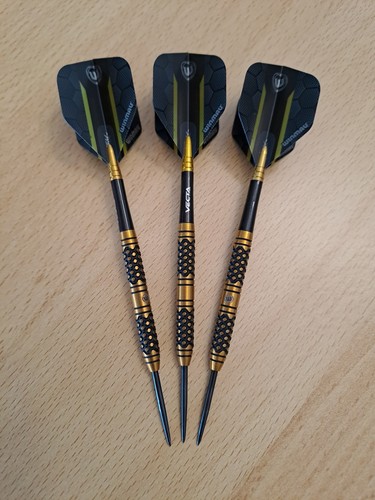 Steeldarts winmau bradley van - steeldarts,
