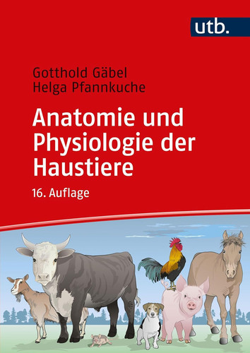Anatomie und physiologie der - anatomie,