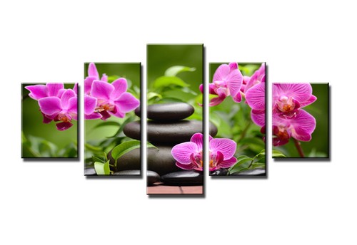 Bild tlg spa visario - bild,