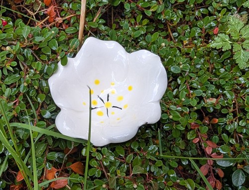 Kleine blüte bienen - blüte,