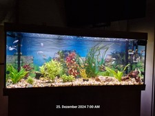 Aquarium 450 Liter mit Unterschrank  T 50 / H 66 / B 150 cm ca.50 Fische