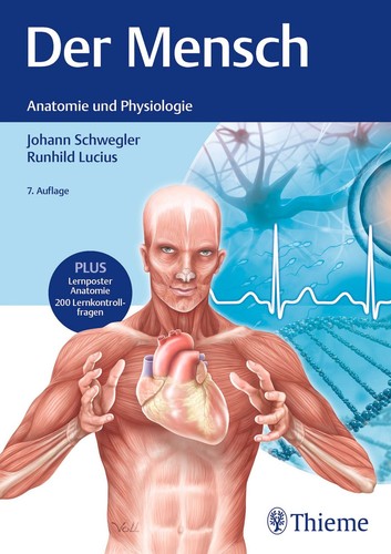 Der mensch anatomie - der,