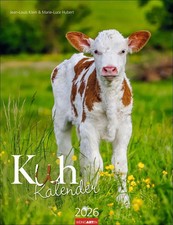 Kuh Kalender 2026 | Marie-Luce Hubert | Kalender | Tierkalender Weingarten