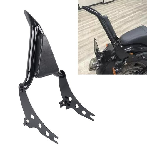 Rückenlehne sissy bar - sissy,