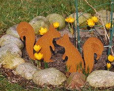 Eichhörnchen "Peterle" auf