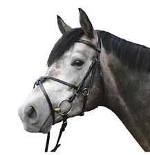 Euroriding Trense Cambridge -