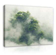 WALD NEBEL NATUR Leinwandbild