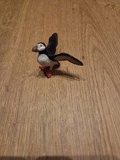 Papageientaucher 14721