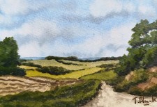 ORIGINAL AQUARELL - Sommerlandschaft.