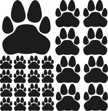 Bis tatzen pfoten hunde - 40,