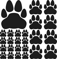 4 bis 40 Tatzen Pfoten Hunde