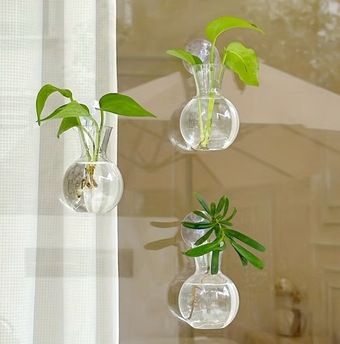 Hydrokultur behälter fenster - hydrokultur,