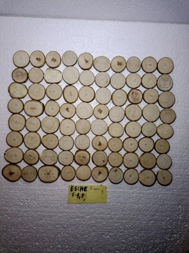 Baumscheiben esche 3 5 - 80,