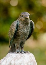 Bronzefigur Adler Roter Milan