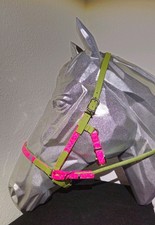 Biothane Gebisslose Trense Knallig Hingucker Gr. Warmblut