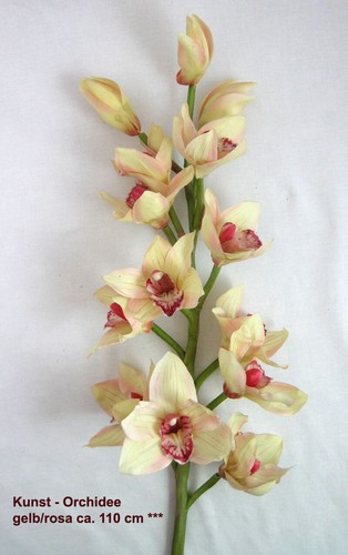 Kunst orchidee - 1,