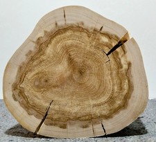 Baumscheibe, Holzscheibe