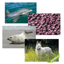 Schreibtischunterlage