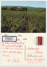 46669 - Weinberg in Frankreich