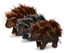 Elegant - Skunk/Stinktier -