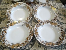 Lomonosov 4 tiefe-Teller zu