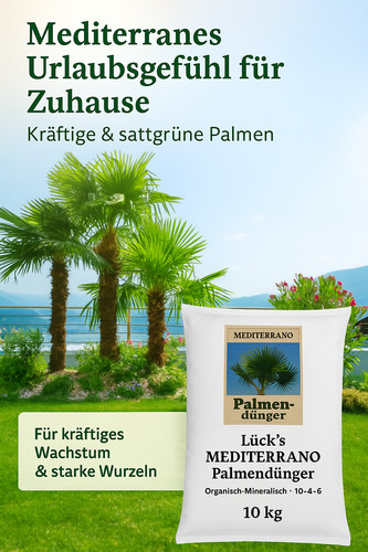 Freilandpalmen dünger - freilandpalmen,