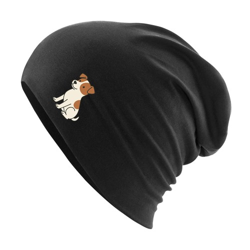 Beanie jack russell terrier - beanie,