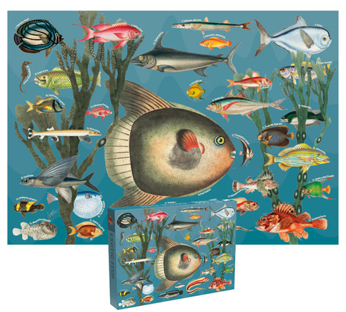 Puzzle exotische - puzzle,