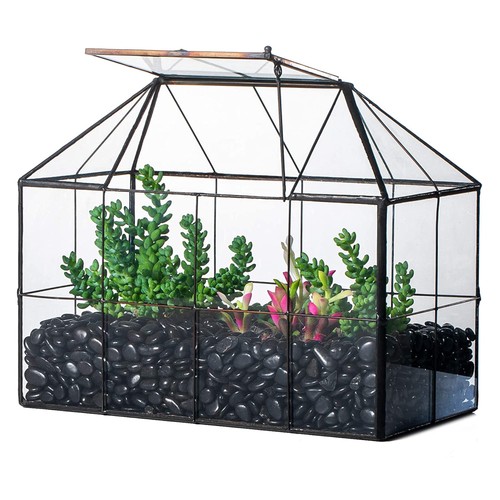 Pflanzencontainer glas - pflanzencontainer,