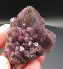 Amethyststufe der Extraklasse