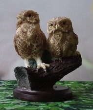 Unsere schöne Vogelwelt