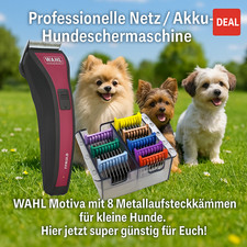 Hunde Schermaschine Wahl