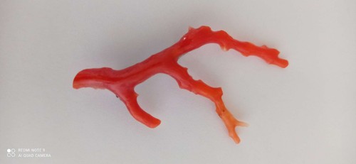 Antik brosche astkoralle rot - brosche,