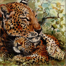 Dekobild Tiere Afrikas