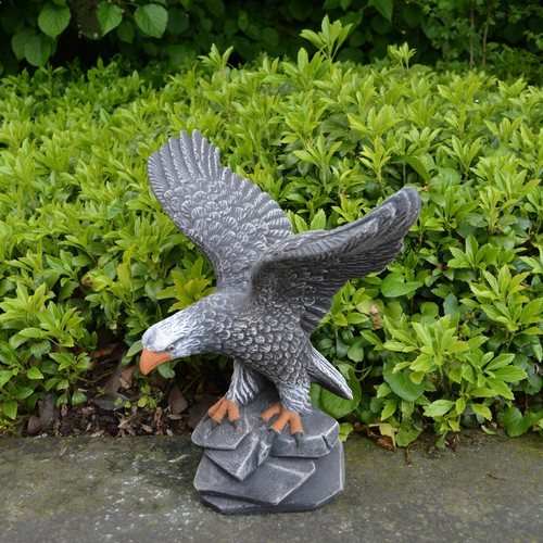 Steinadler adler vogel - adler,