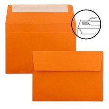 GUSTAV NEUSER FarbenFroh