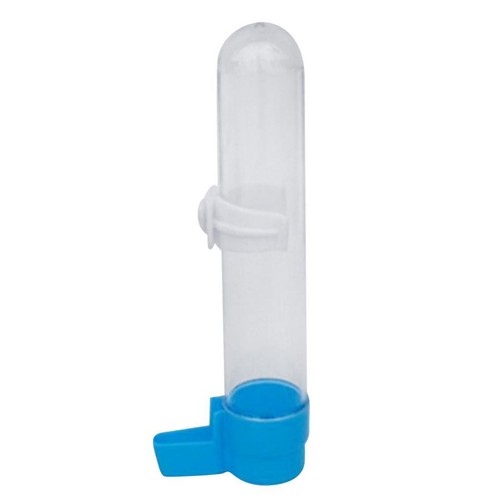 Vogel-Haustier-Wassertrinker-F