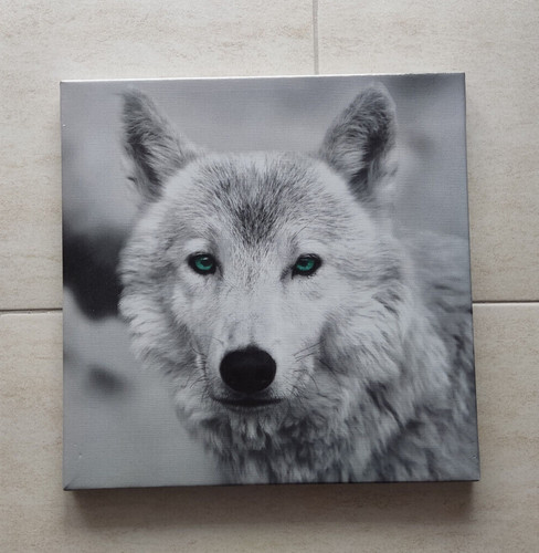 Wolf leinwandbild deko schwarz - deko,