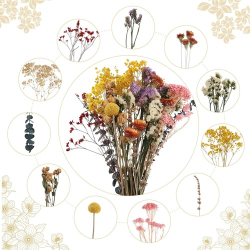 Stück trockenblumen deko - trockenblumen,