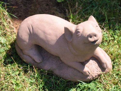 Schwein liegend lachend tier - schwein,