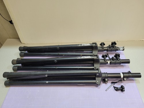 Gorilla stands - gorilla,