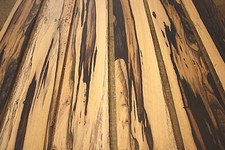 PALE MOON / BLACK AND WHITE EBONY 6-saitige Bassgitarre Griffbrett / Griffbrett