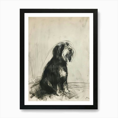 Bearded collie hund - collie,