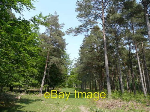 Photo 6x4 ride milkham - photo,