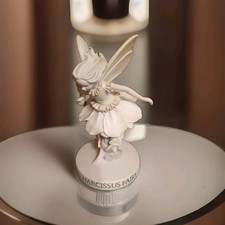 Narcissus Fairy Dekorativ 