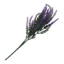 Lavendel-Strau? Simulation