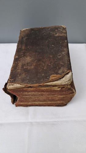 Die bibel heilige - bibel, des