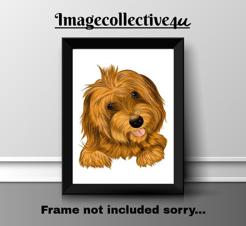 Affenpinscher haustier hund - haustier, a4